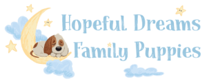Hopeful Dreams Logo