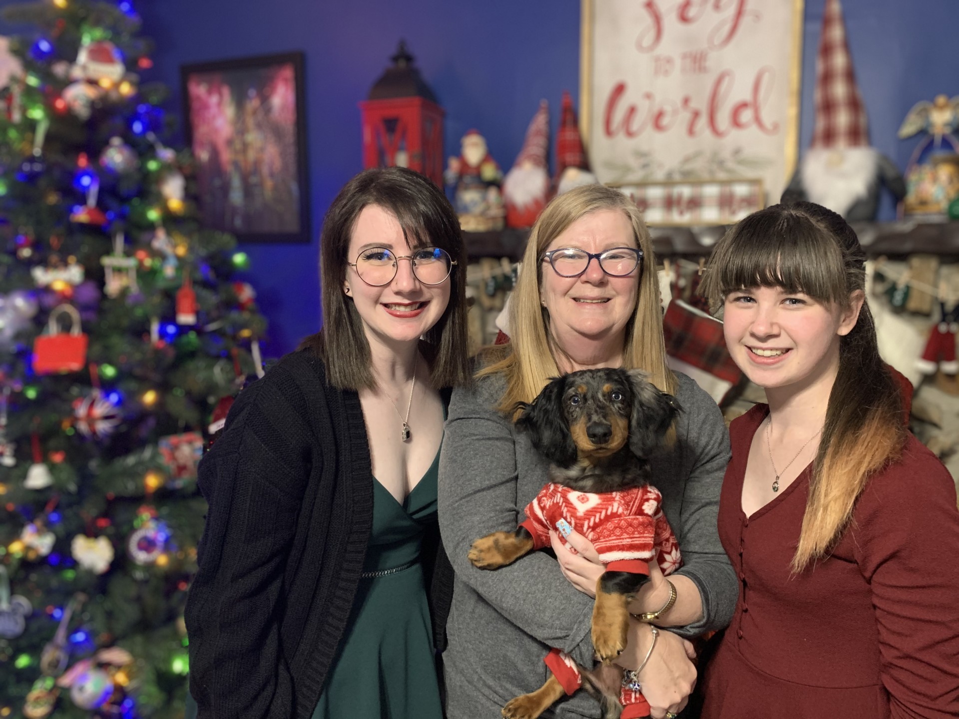 Kirby The Miniature Dachshund Review