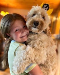 Tucker The Goldendoodle Review